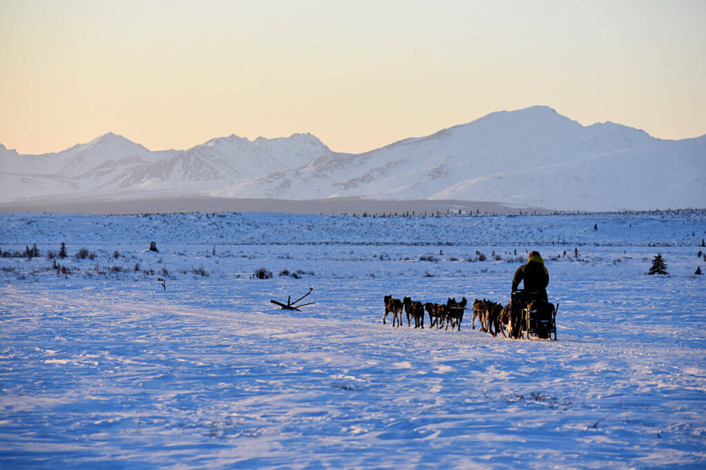 Man on sled with dogs near Shungnak