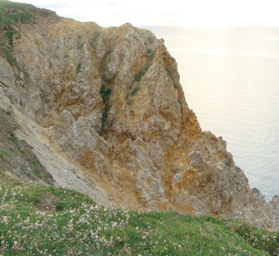 Shoreline cliffs