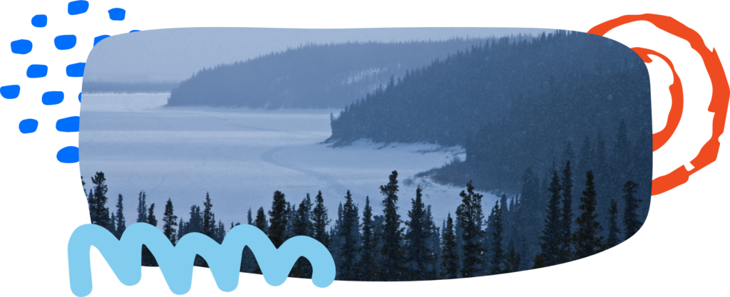Shoreline in the winter